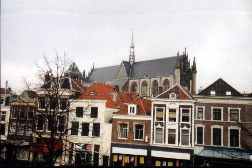 lizview